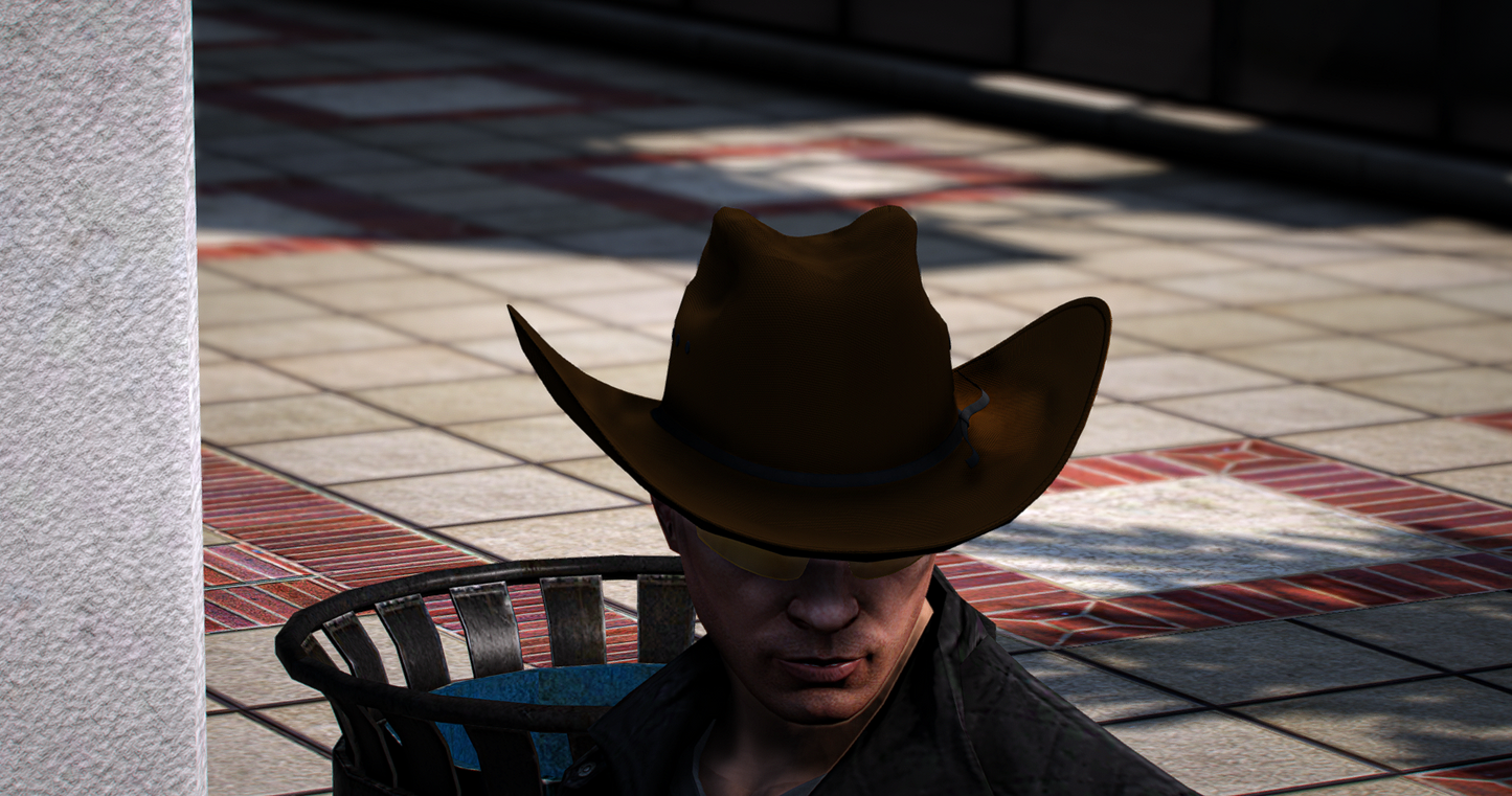 Cowboy Hat